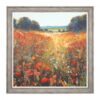 POPPY  FIELD